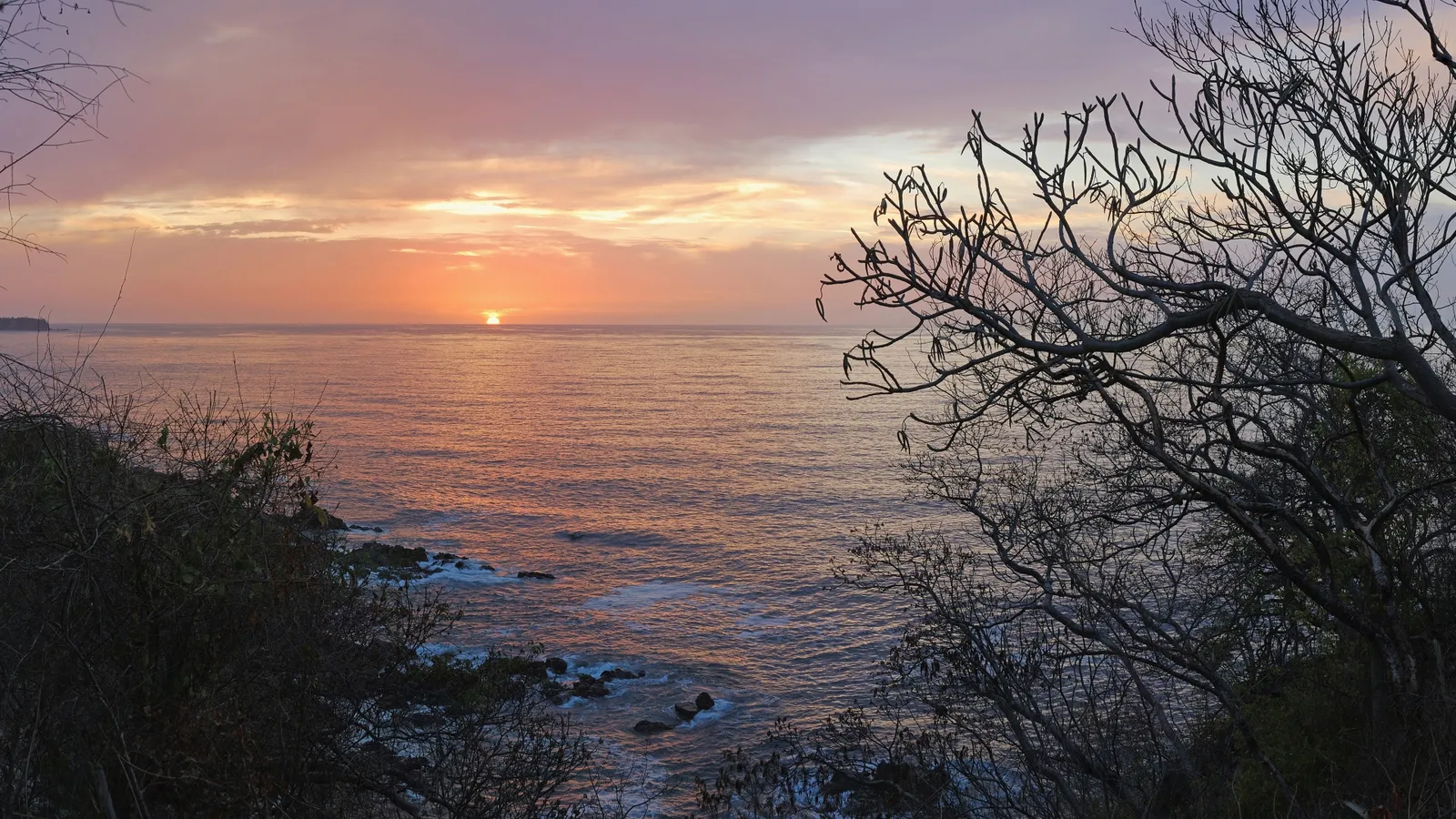 A pastel sunset with pink and purple hues over a calm ocean, viewed from a rocky coastline.