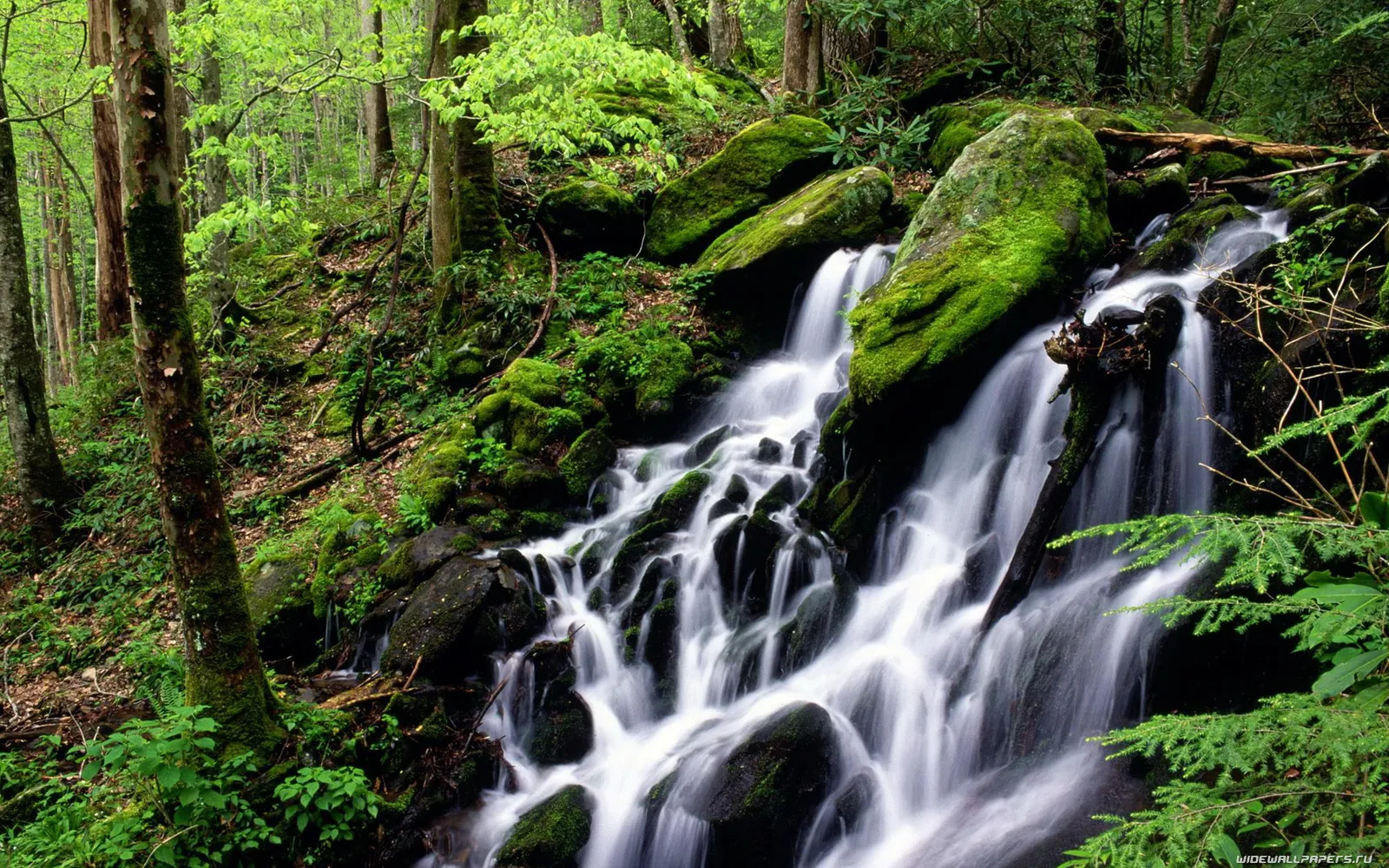 A serene waterfall flows down a rocky incline surrounded by green foliage and mossy boulders.