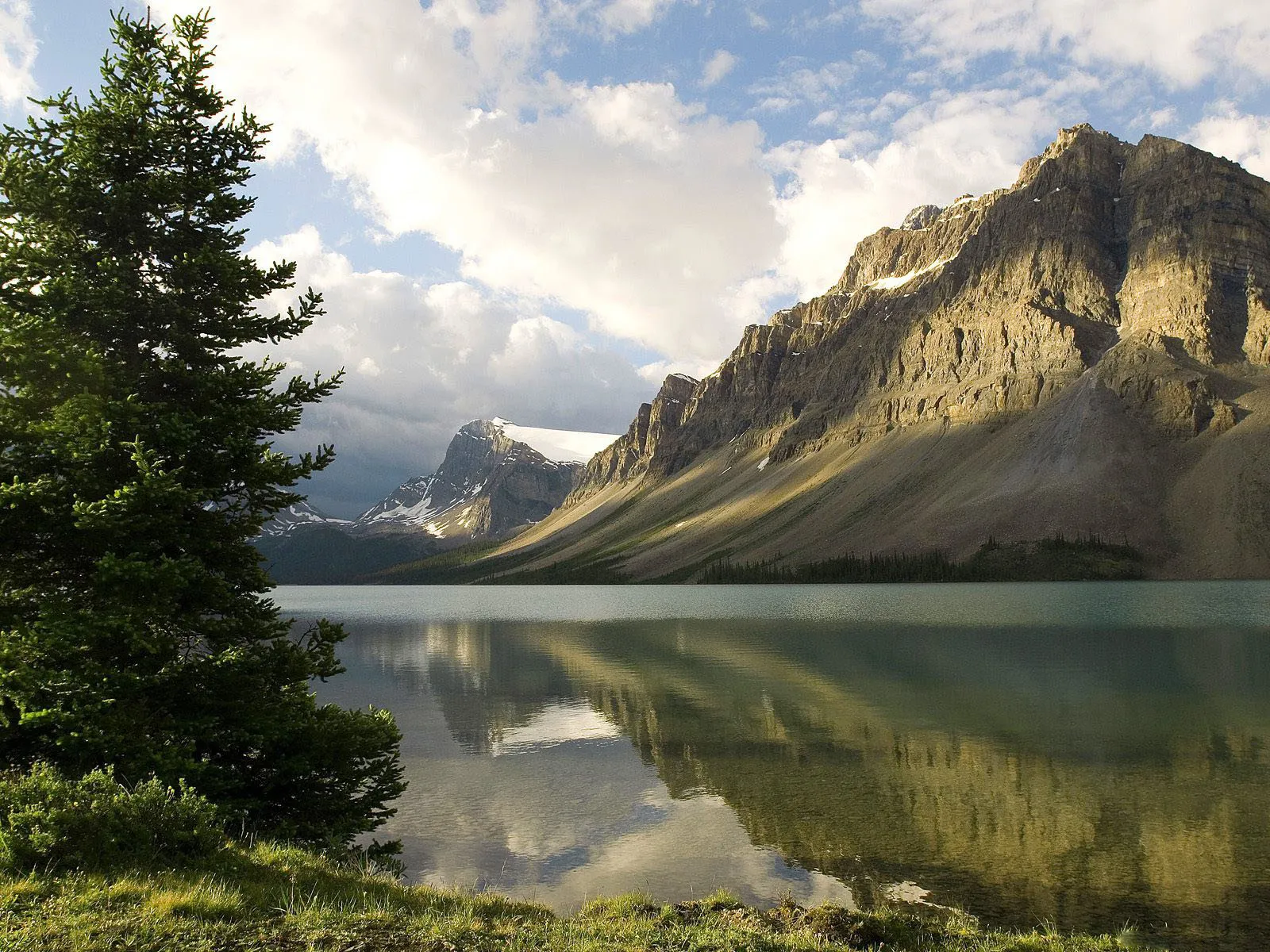 A large pine tree stands in the foreground beside a serene mountain lake reflecting the rocky peaks and cloudy sky.
