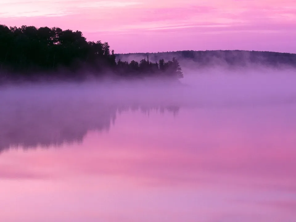 A misty lake reflects the pink hues of the dawn sky.