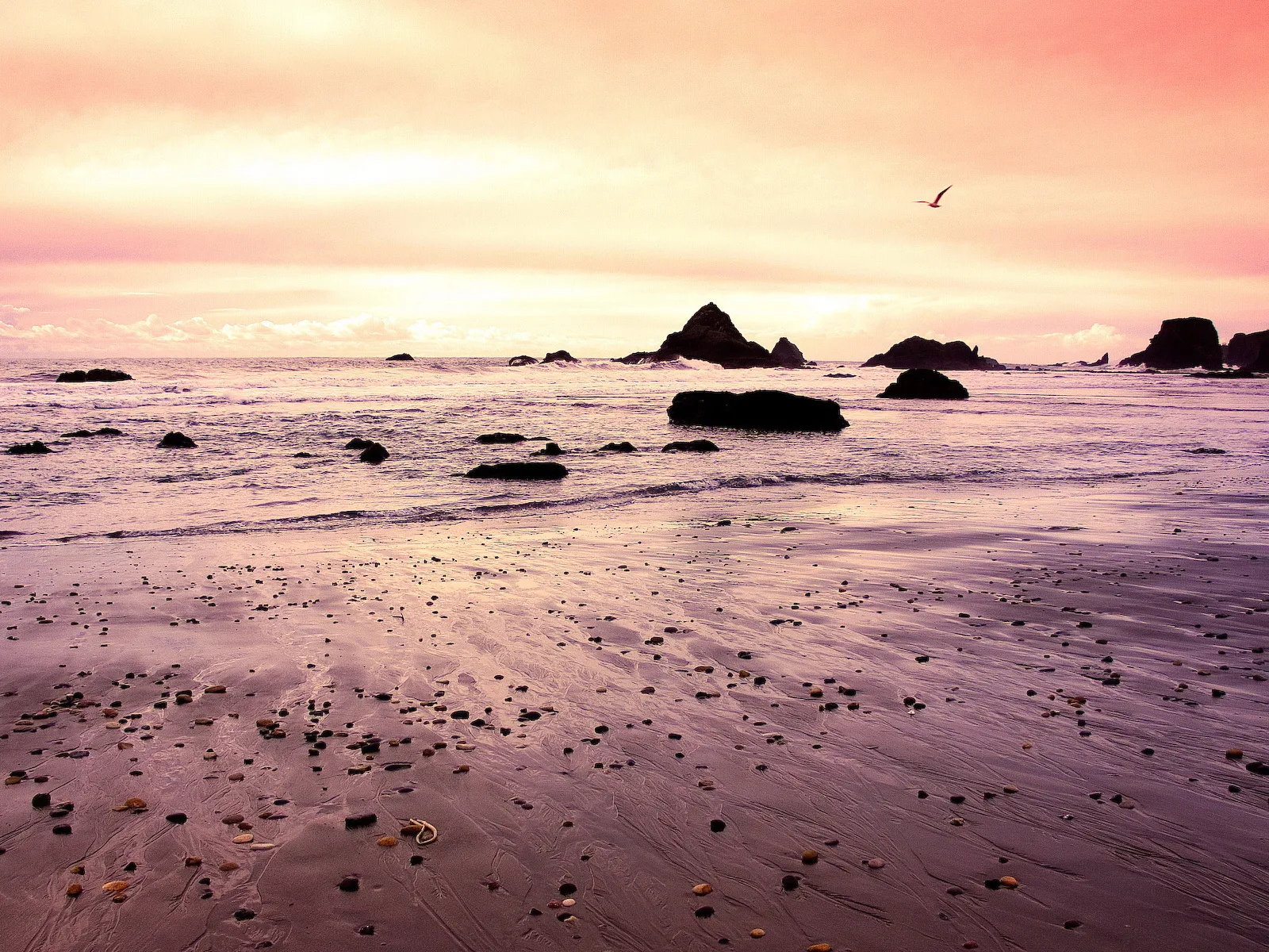 A tranquil beach scene at sunset with a pink and orange sky reflecting on wet sand and scattered rocks.
