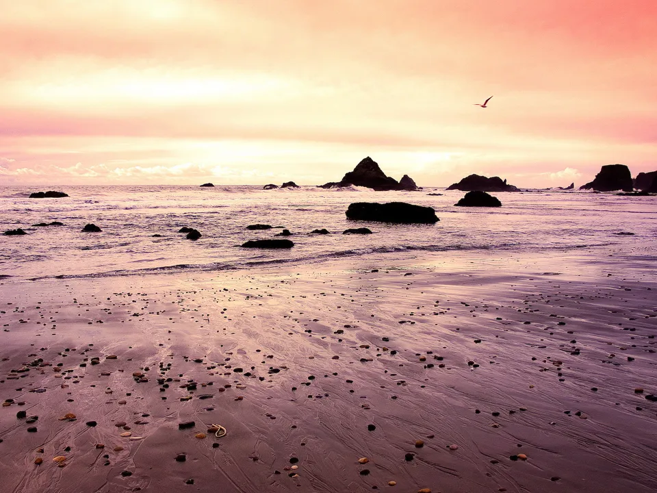 A tranquil beach scene at sunset with a pink and orange sky reflecting on wet sand and scattered rocks.