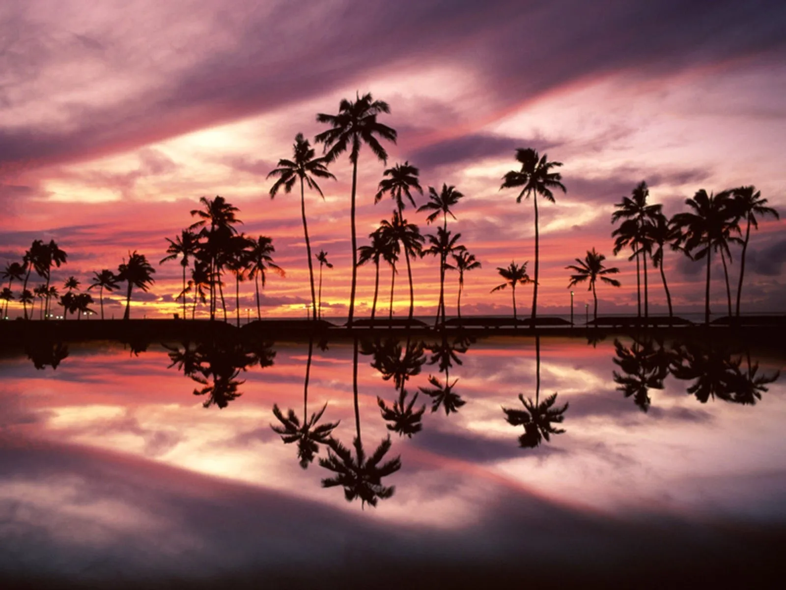 Silhouetted palm trees reflected in still water under a vibrant pink and purple sunset sky.