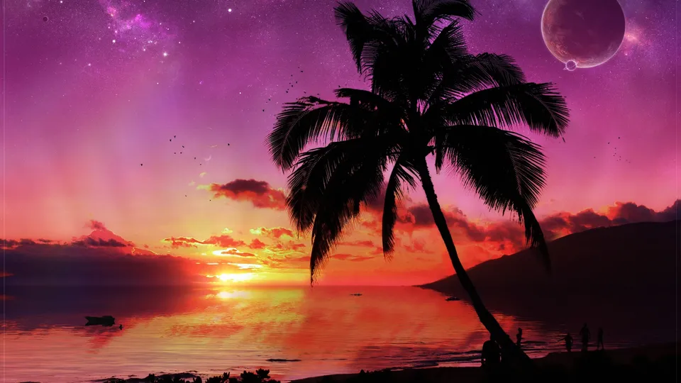 A lone palm tree is silhouetted against a vibrant pink, purple, and orange sky reflecting on the ocean.