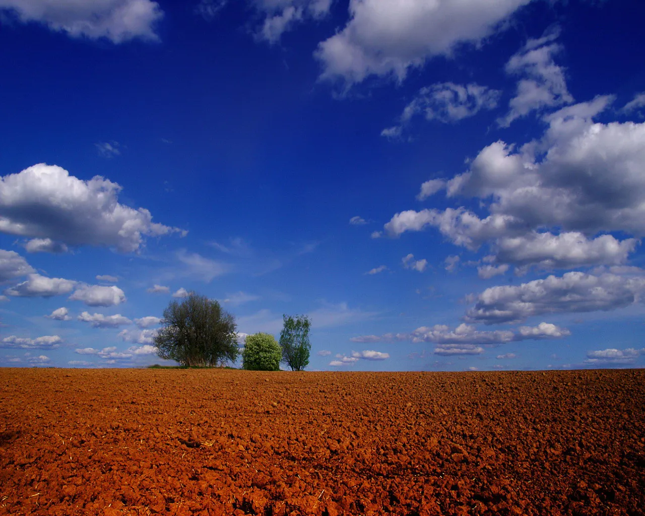 A wide shot of a freshly ploughed, reddish-brown field under a vibrant blue sky with scattered white clouds. Three trees stand on the horizon.