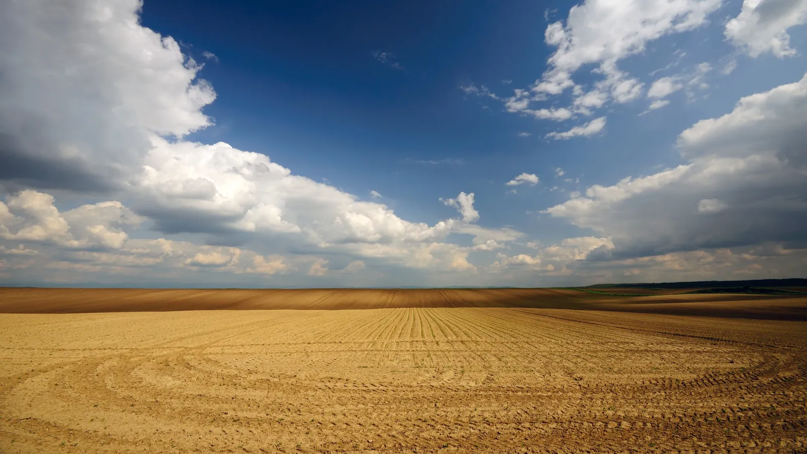 Expansive ploughed fields stretch towards the horizon under a dynamic sky with white clouds and deep blue patches.
