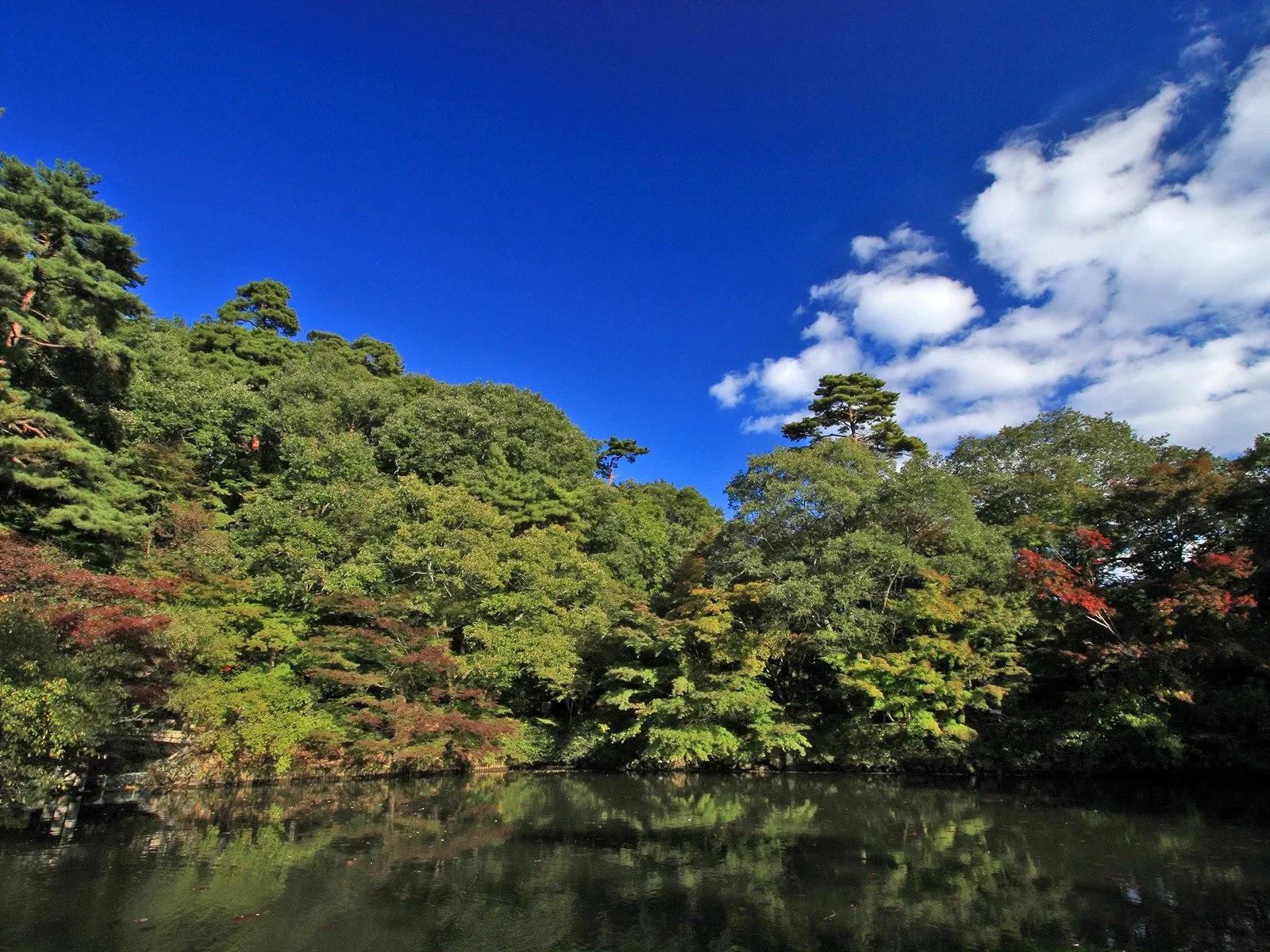 A still pond reflects a lush hillside covered in green trees and a bright blue sky with white clouds.