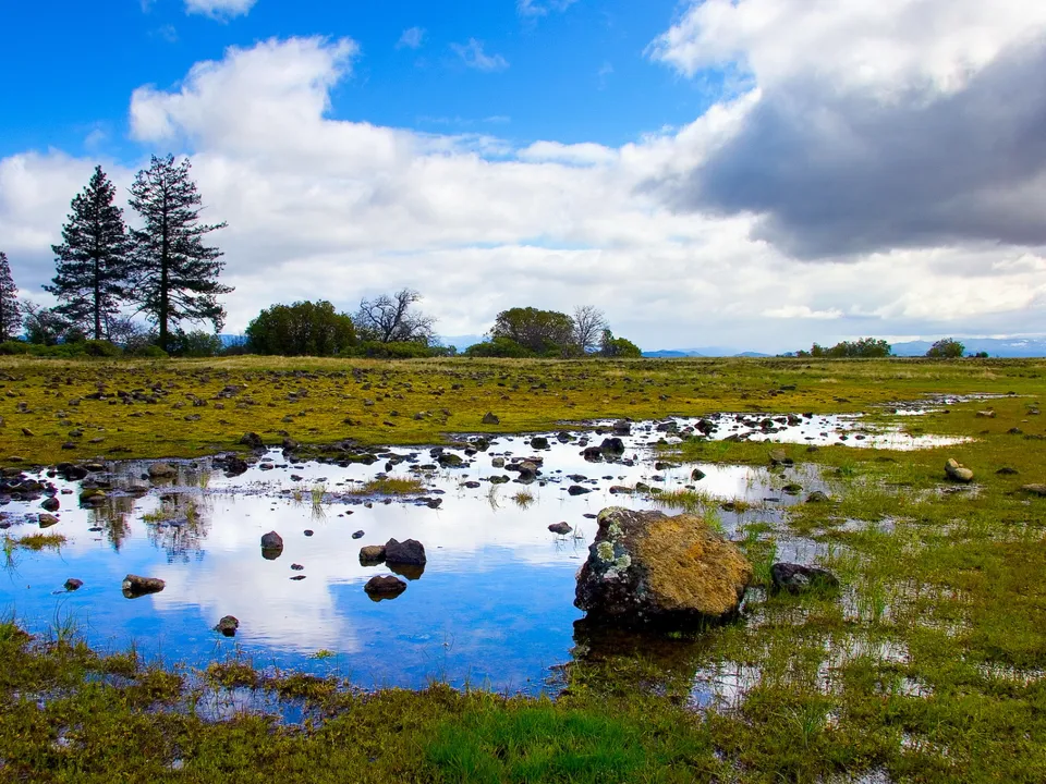 A wide landscape shot of shallow puddles on a grassy field reflecting a bright blue sky with dramatic clouds.