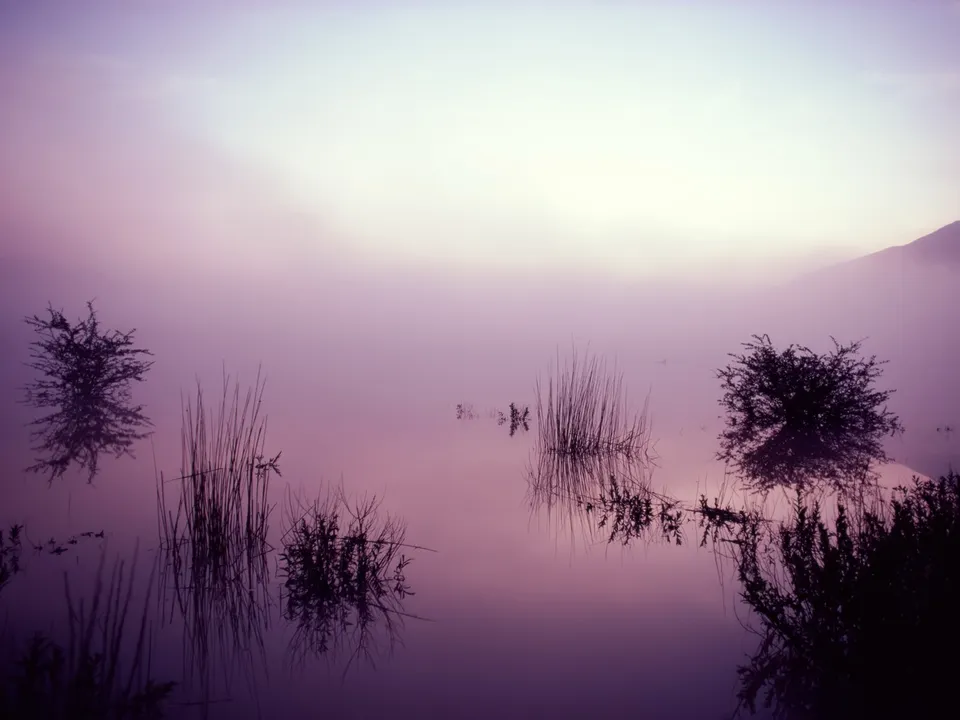A dreamlike atmosphere with purple mist over a lake, reflecting reeds and trees.