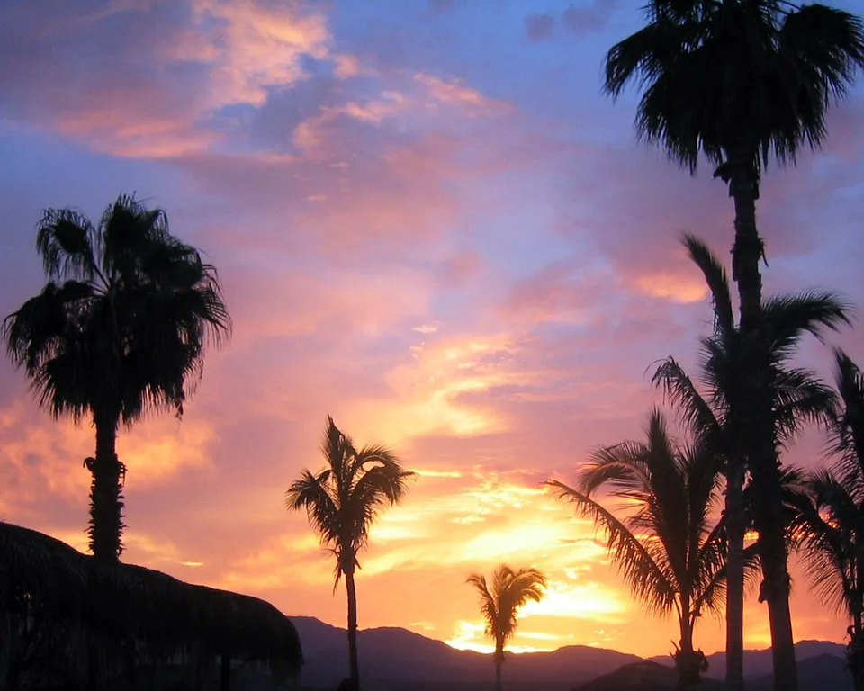 Silhouetted palm trees stand against a dramatic sky with hues of purple, orange, and pink at sunset.