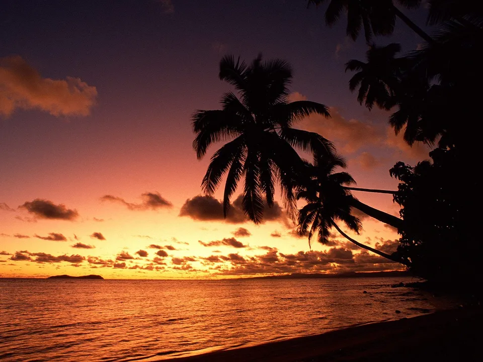 Silhouetted palm trees stand against a dramatic sky transitioning from purple to orange during a tropical sunset.