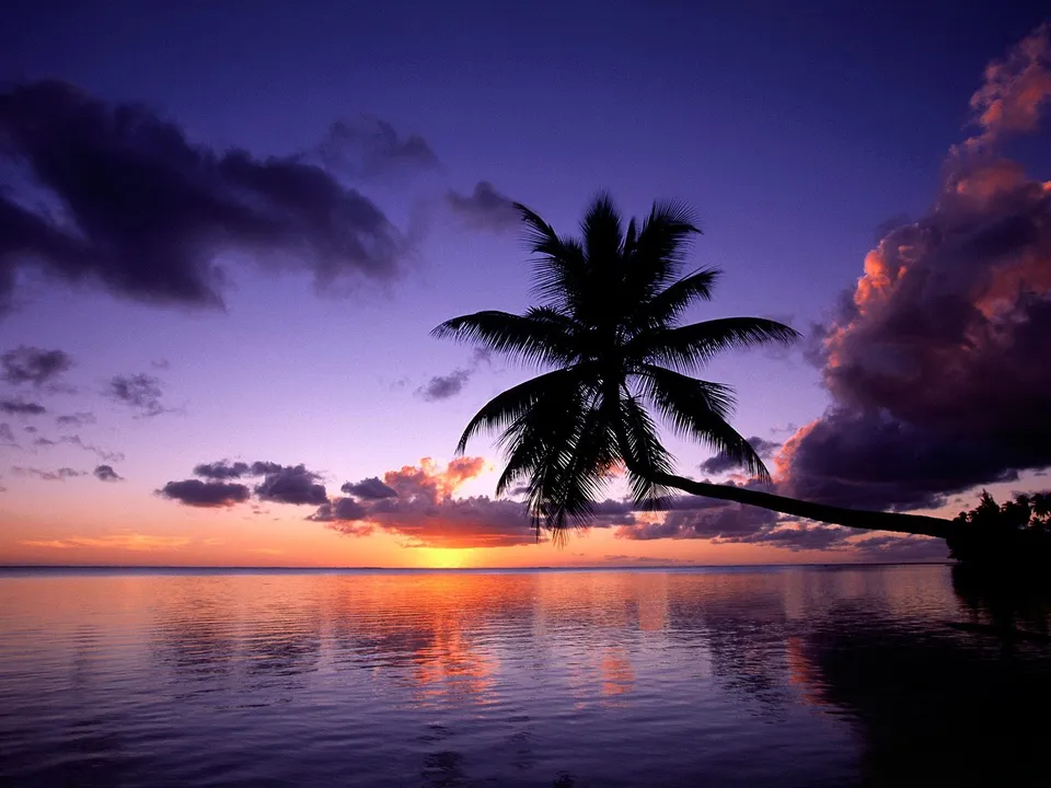 Silhouetted palm trees stand against a vibrant purple and pink sky during a tropical sunset over the ocean.