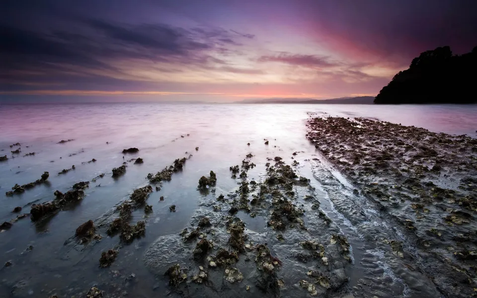 A dramatic sunset with purple and pink clouds over calm water and a foreground of exposed oyster beds.