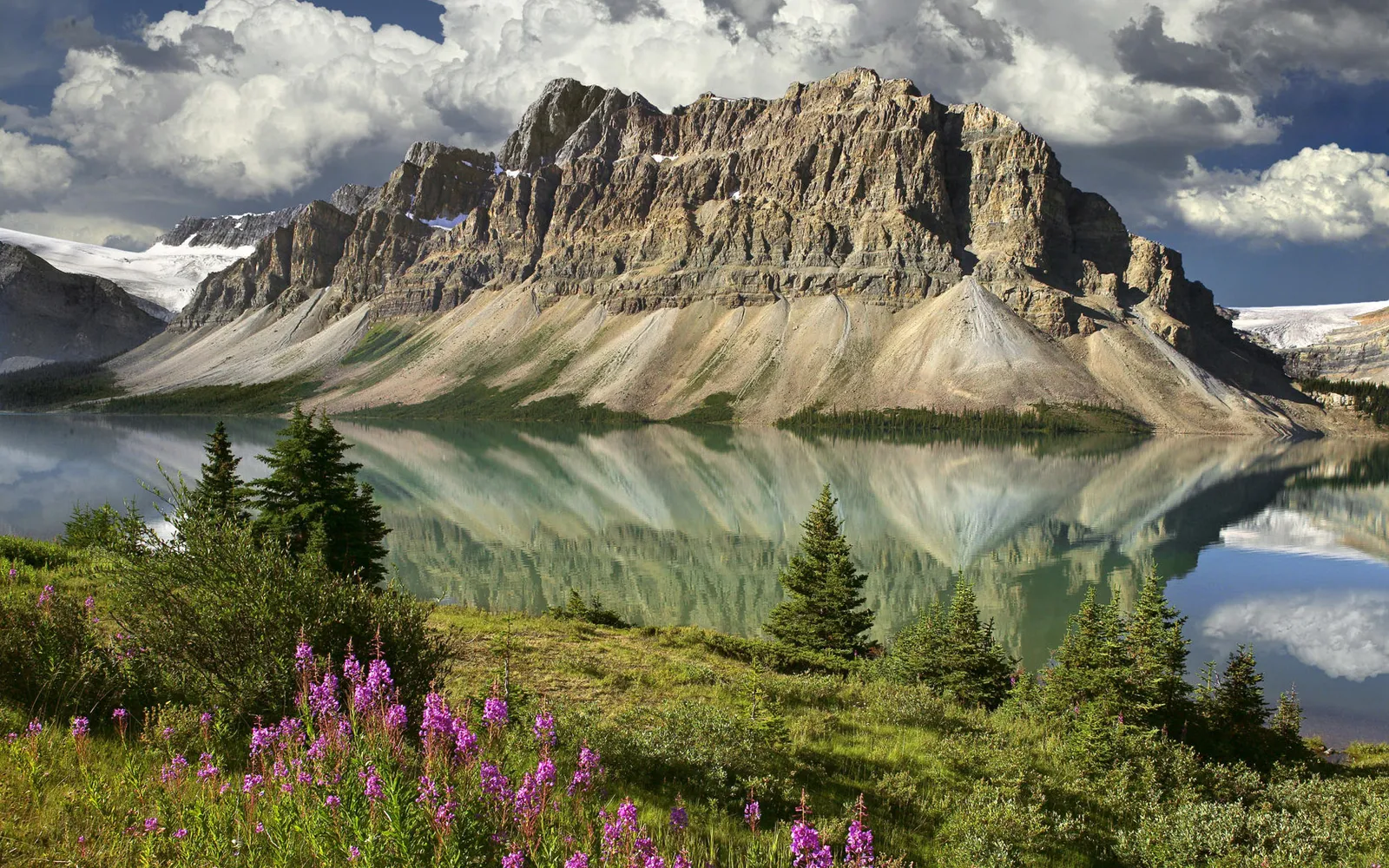 Purple wildflowers in the foreground of a lake reflecting a large, layered mountain.
