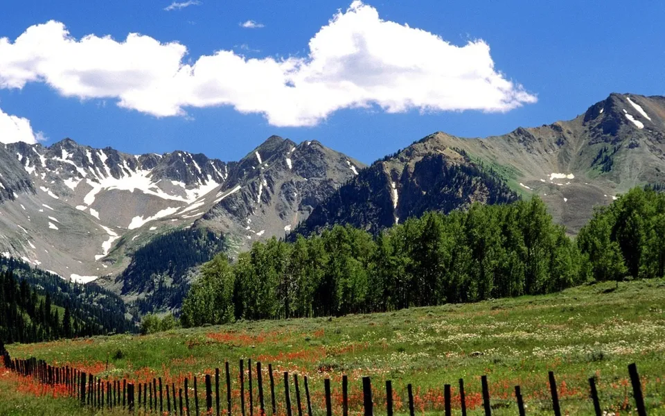 A fence runs along a meadow of red wildflowers with mountains in the background.