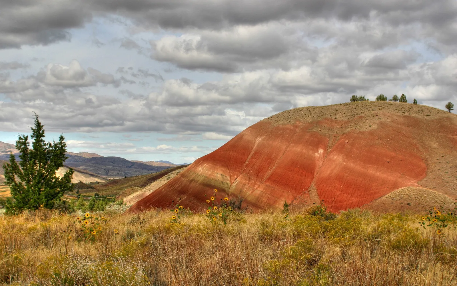 The Painted Hills feature vibrant red and yellow bands, with sunflowers and dry grass in the foreground under a cloudy sky.