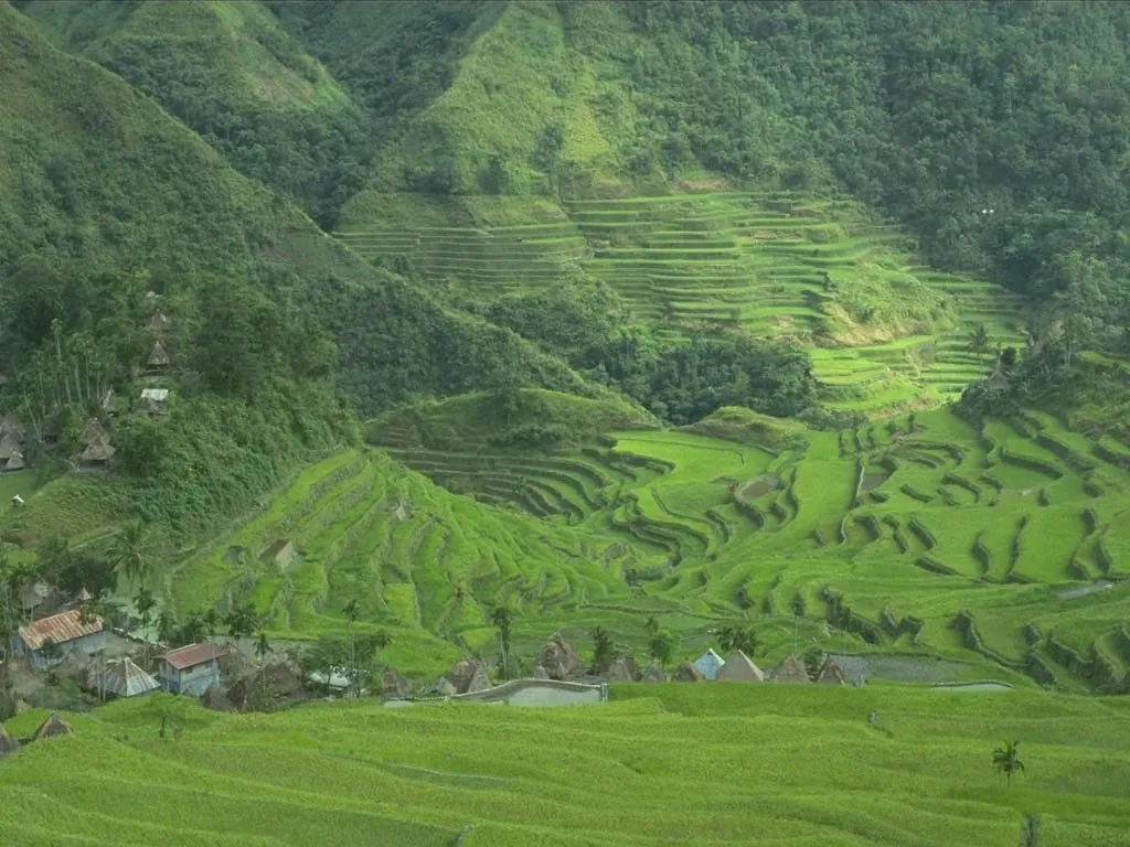Vast, vibrant green rice terraces cascade down a lush, mountainous landscape with scattered small villages.