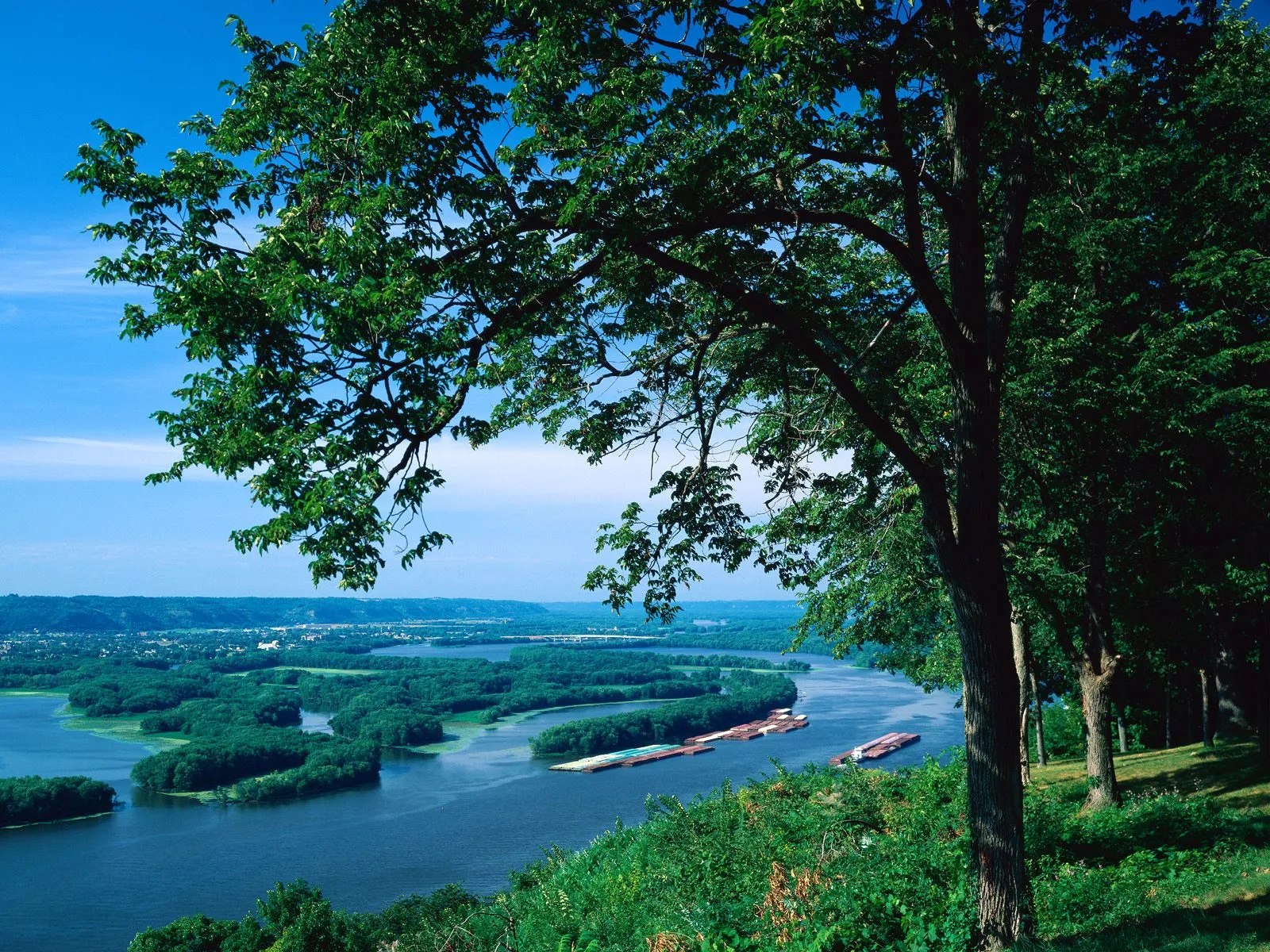 A wide river with barges is seen from a high vantage point, with lush green trees in the foreground and a distant town.