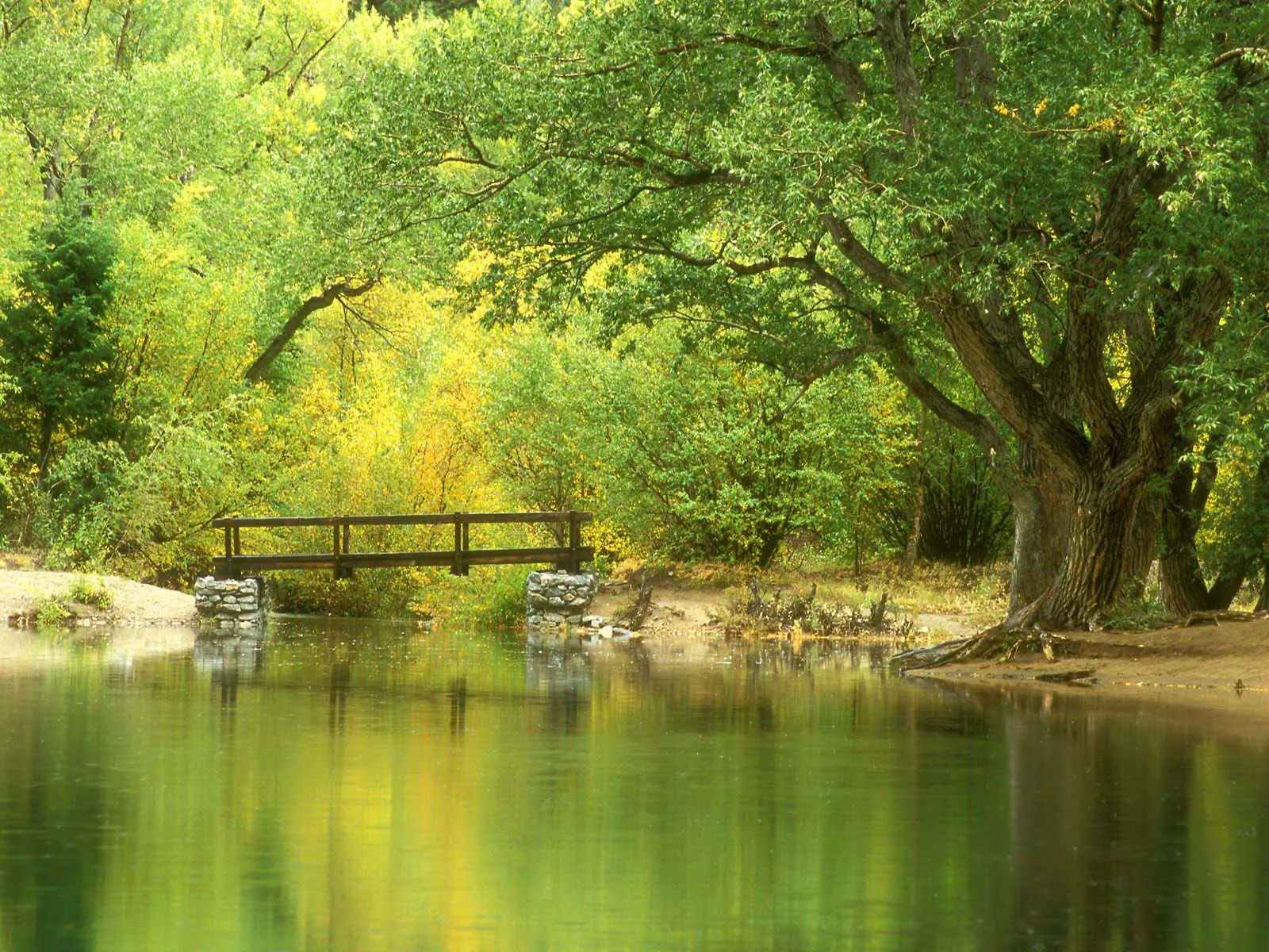 A wooden bridge crosses a calm river, reflecting lush green and yellow trees on its surface.