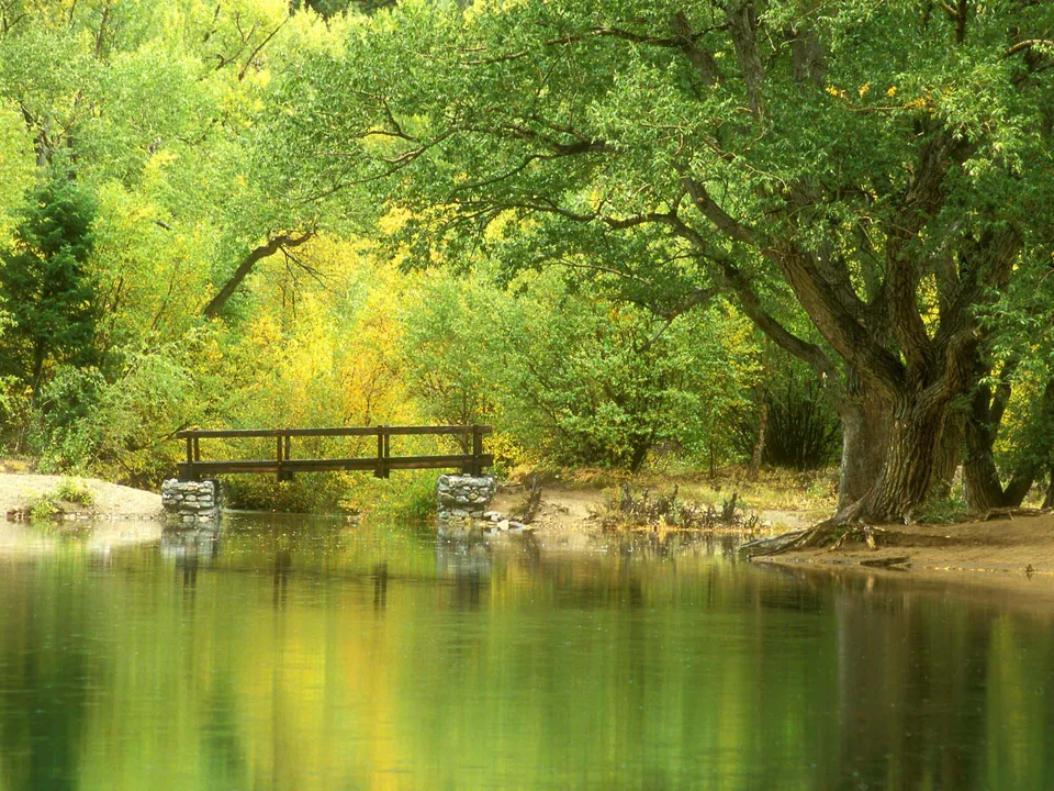 A wooden bridge crosses a calm river, reflecting lush green and yellow trees on its surface.