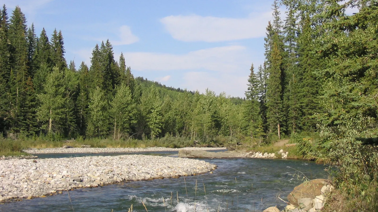 A wide river flows past a rocky shore, with dense green trees lining the banks and a blue sky overhead.