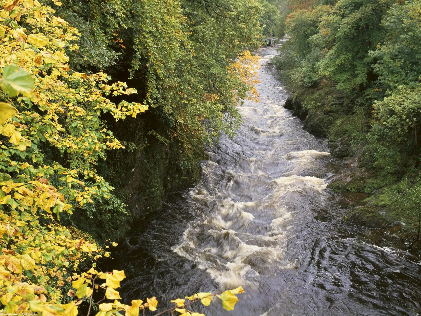 A fast-flowing river winds through a gorge lined with trees showing autumn colors.