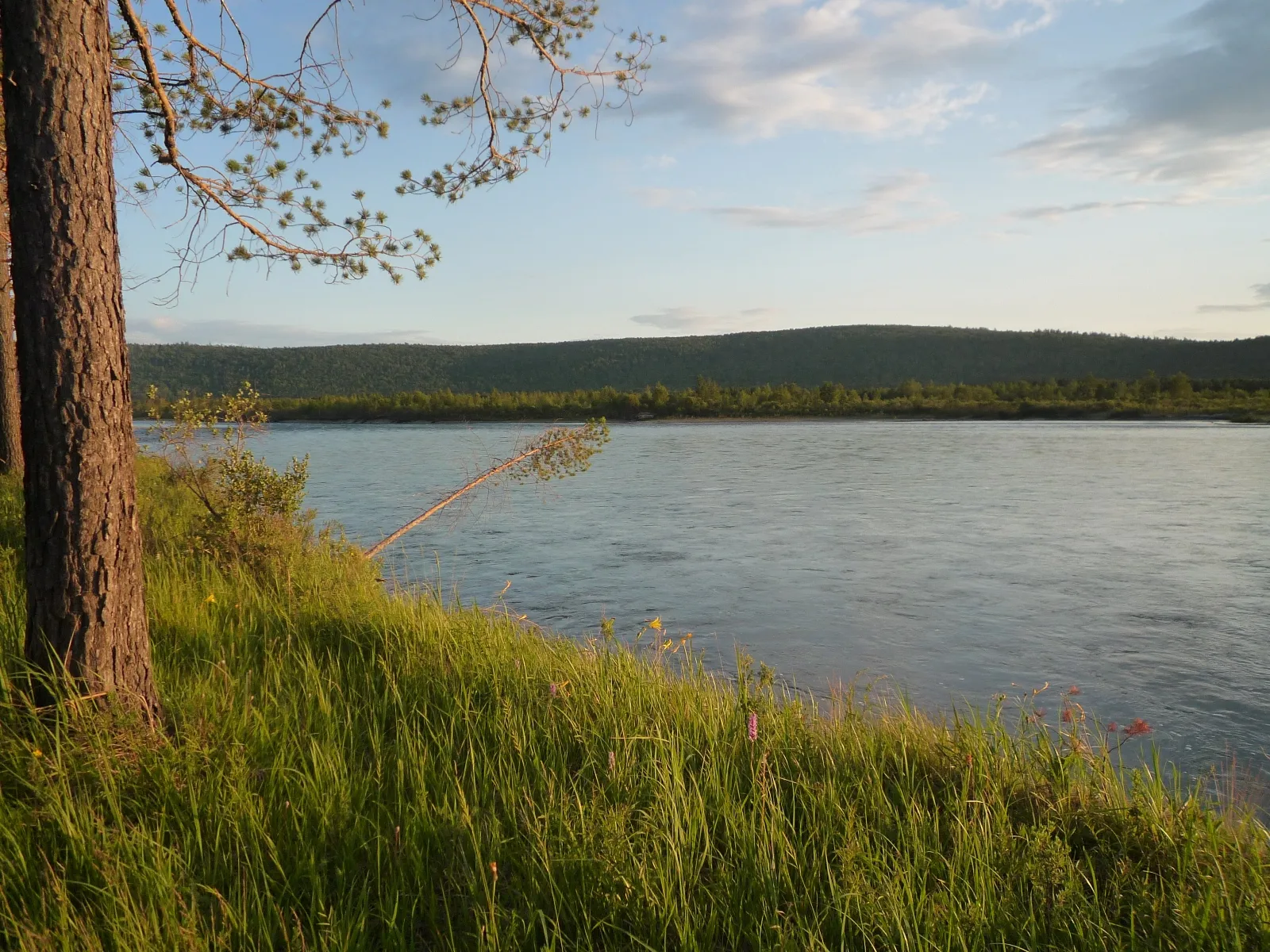 A wide, calm river flows past a grassy bank with trees and a distant forested hill under a partly cloudy sky.