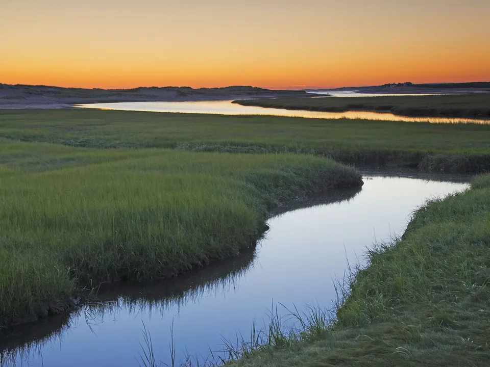 A calm river flows through a green marshland under a vibrant orange sunset sky.