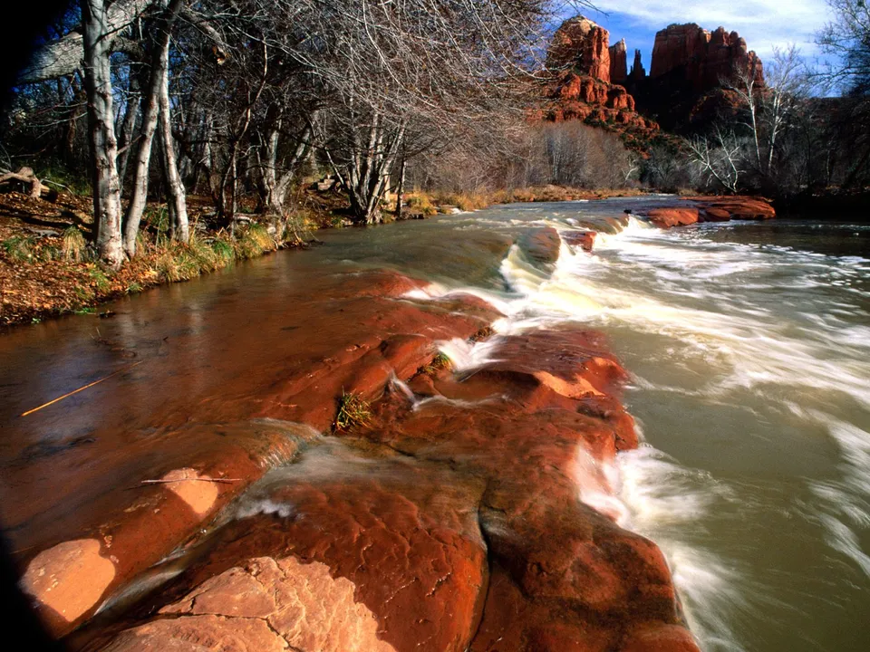 A flowing river with red rocks in the foreground and bare trees lining the bank, with red rock formations in the background.