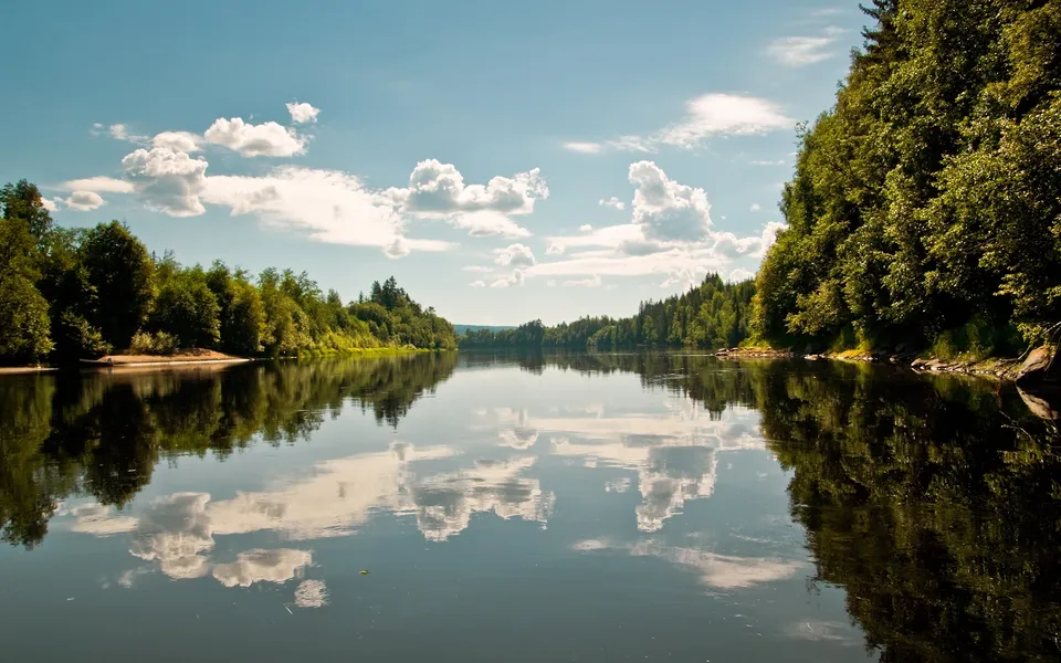 A wide river with calm water reflecting the blue sky, white clouds, and dense green trees lining its banks.