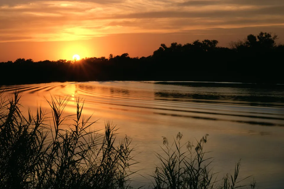 A vibrant sunset casts a golden glow over a calm river, with silhouetted reeds in the foreground.