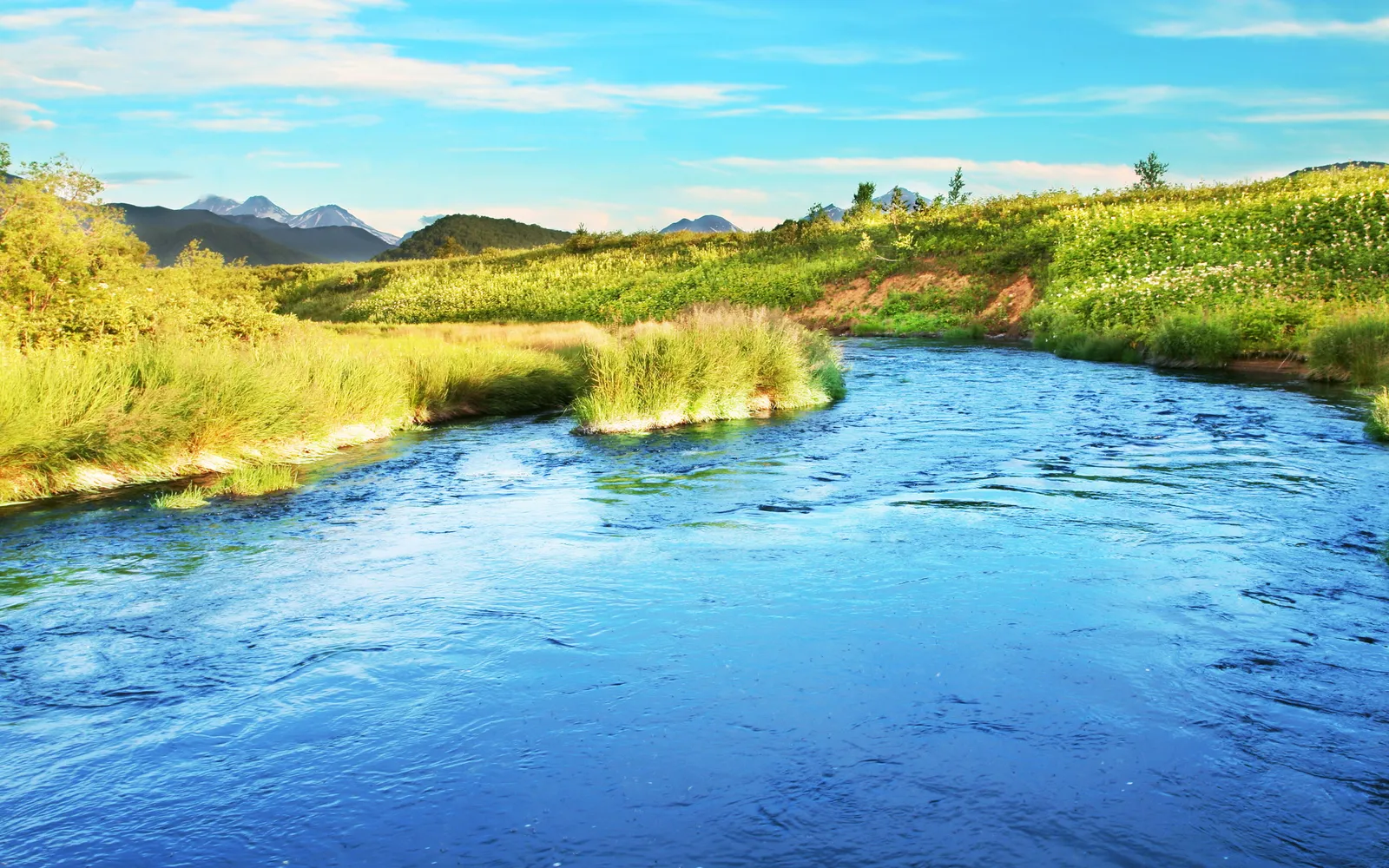 A wide, blue river flows through a vibrant green landscape with mountains in the distance under a bright blue sky.
