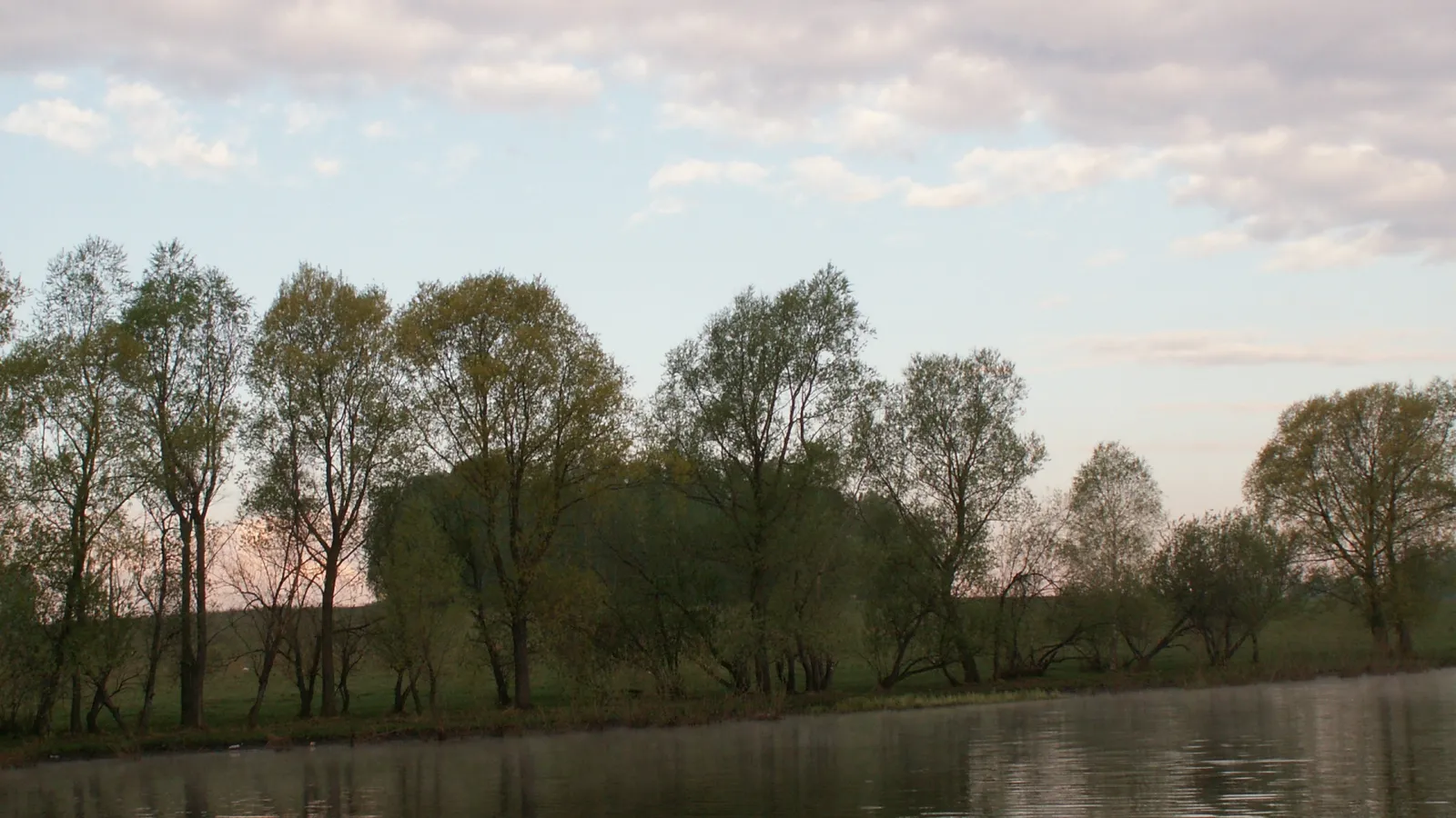 A line of trees along a riverbank with a calm body of water in the foreground and a cloudy sky above.