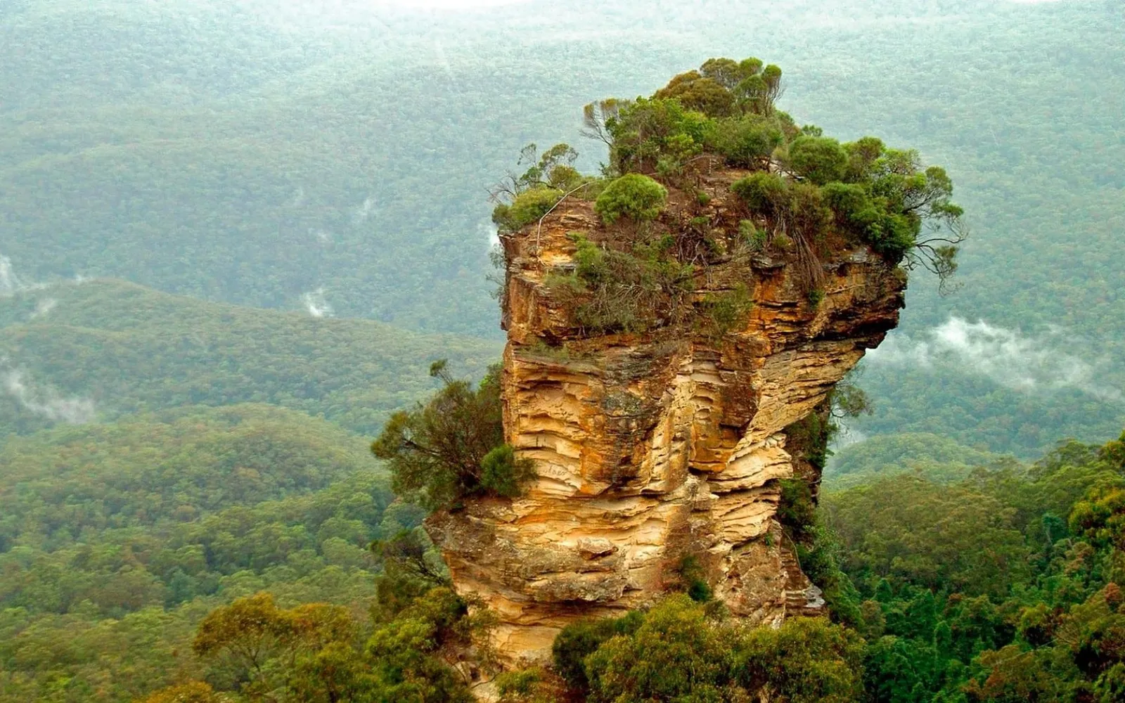 A tall, weathered rock formation covered in greenery stands out against a backdrop of dense, misty forest.