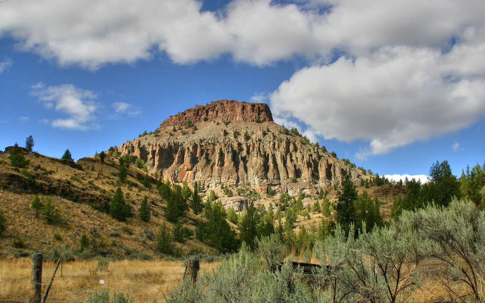 A large, eroded rocky butte with vertical striations, surrounded by dry grass and scattered pine trees under a blue sky with white clouds.