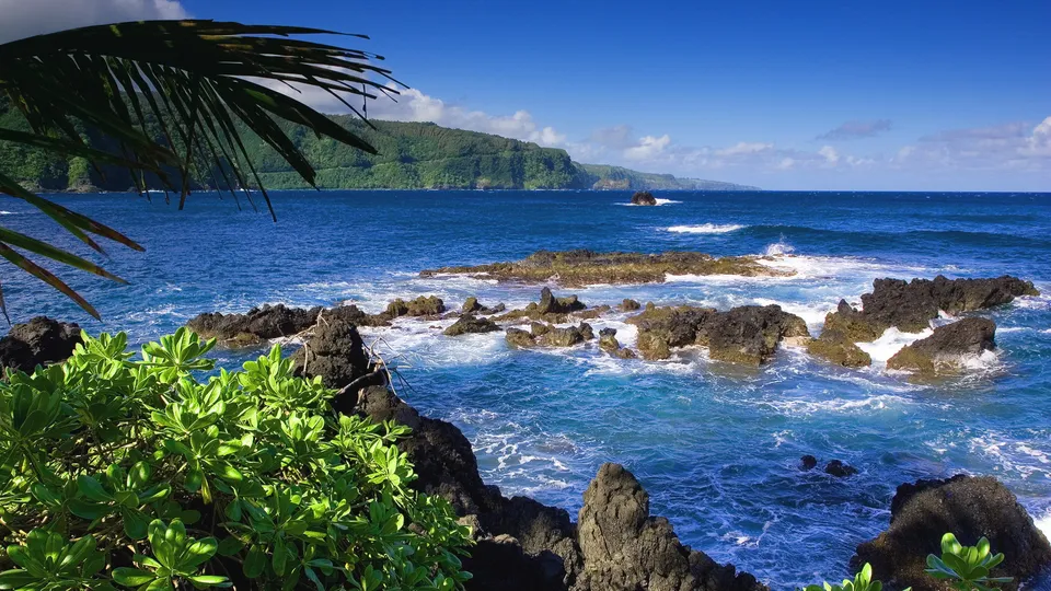 A view of a rocky coastline with waves crashing against dark rocks, lush green plants in the foreground, and a distant green island under a blue sky.