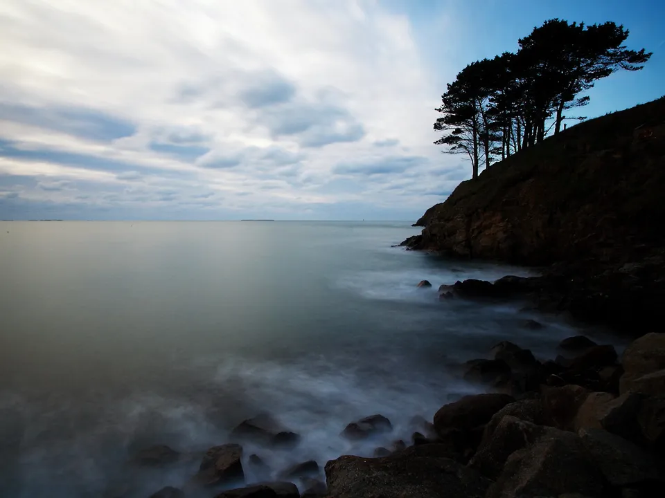 A rocky coastline with trees silhouetted against a cloudy sky and the ocean water appearing smooth and misty.
