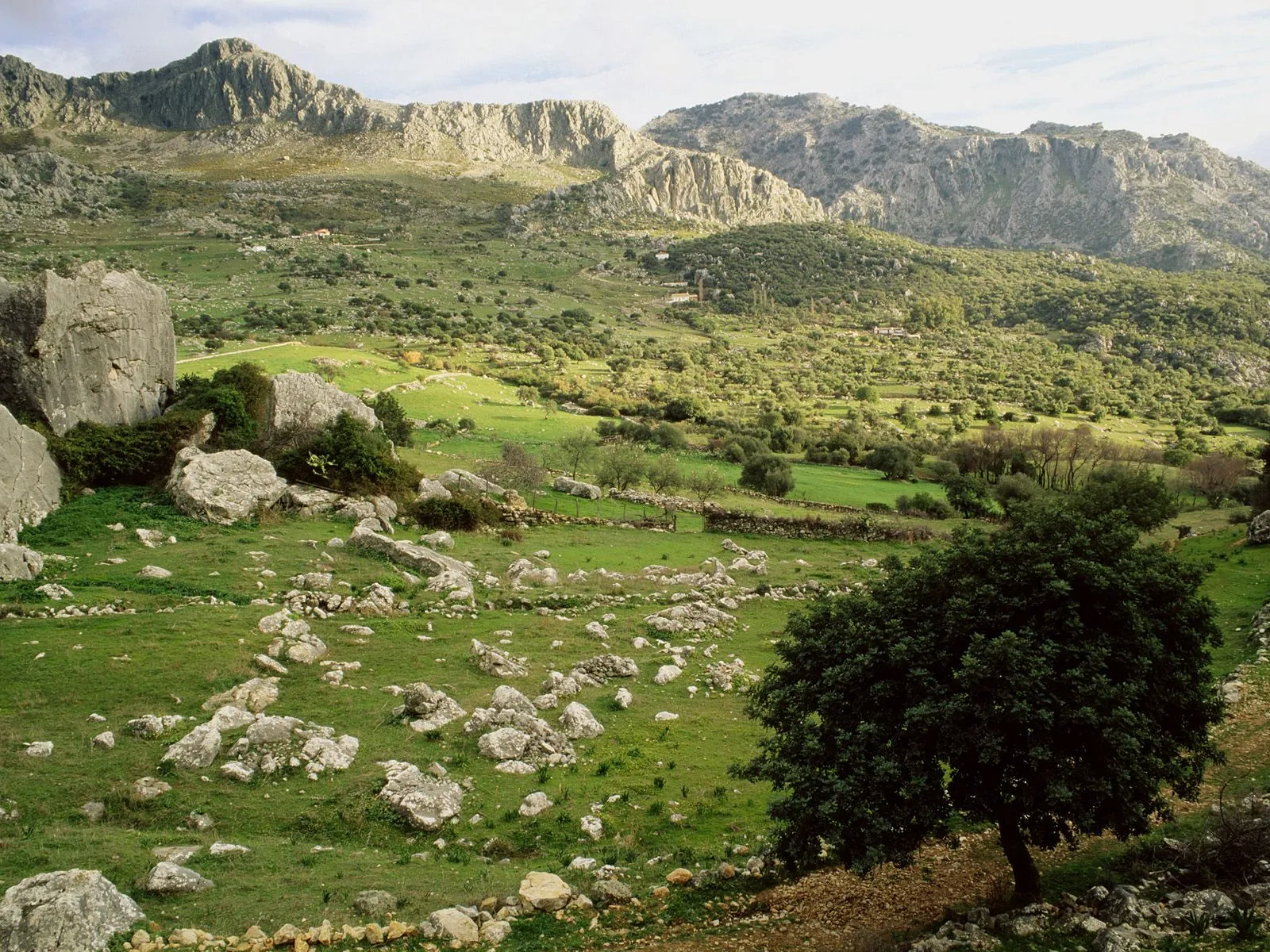 A wide landscape view of rolling green hills dotted with rocks and trees, leading up to rugged mountains under a cloudy sky.