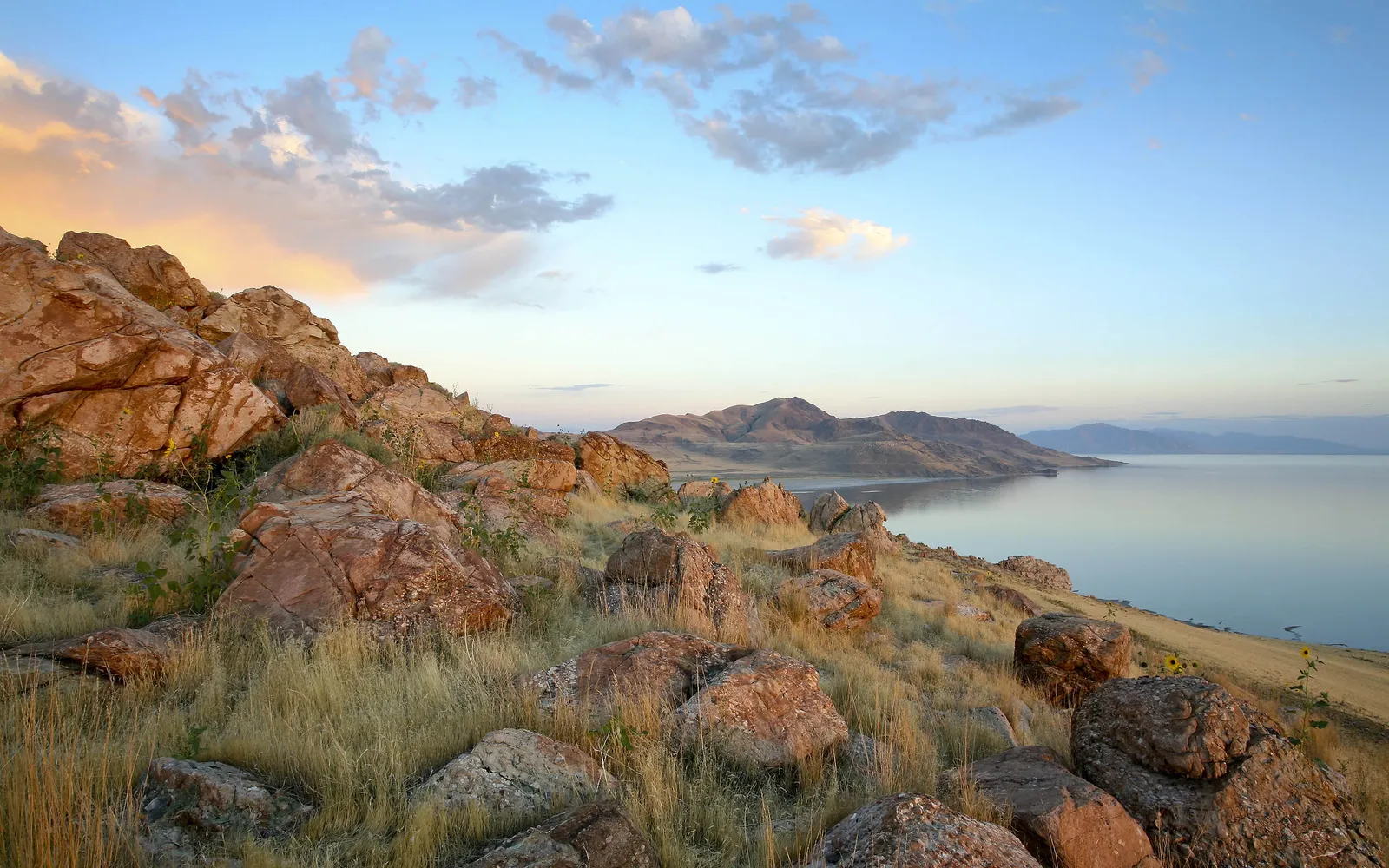A rocky, grassy shoreline overlooks a calm lake with mountains in the distance under a pastel sky.