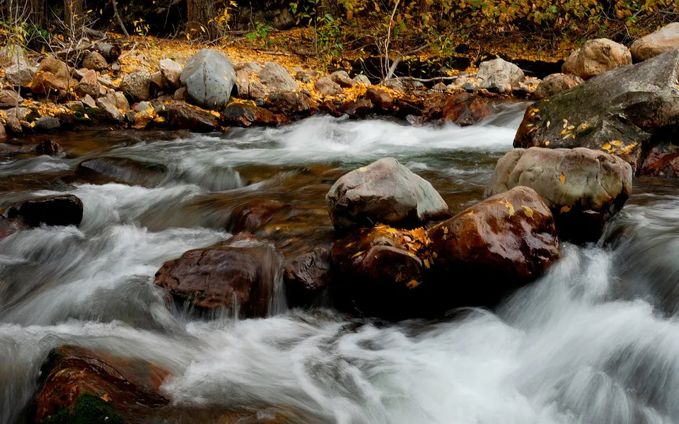 A fast-flowing stream with white water rushes over smooth, wet rocks, with autumn leaves scattered on the banks.