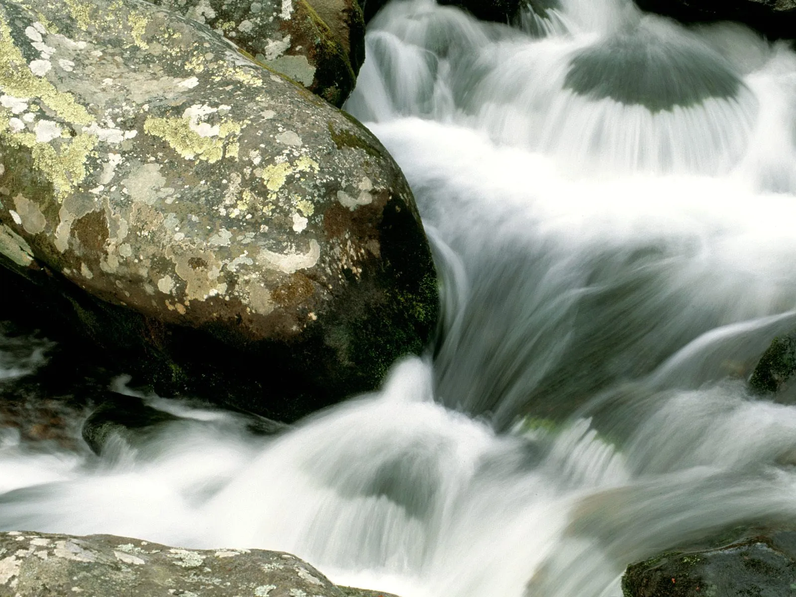 A close-up view of a rocky stream with water flowing over moss-covered boulders.