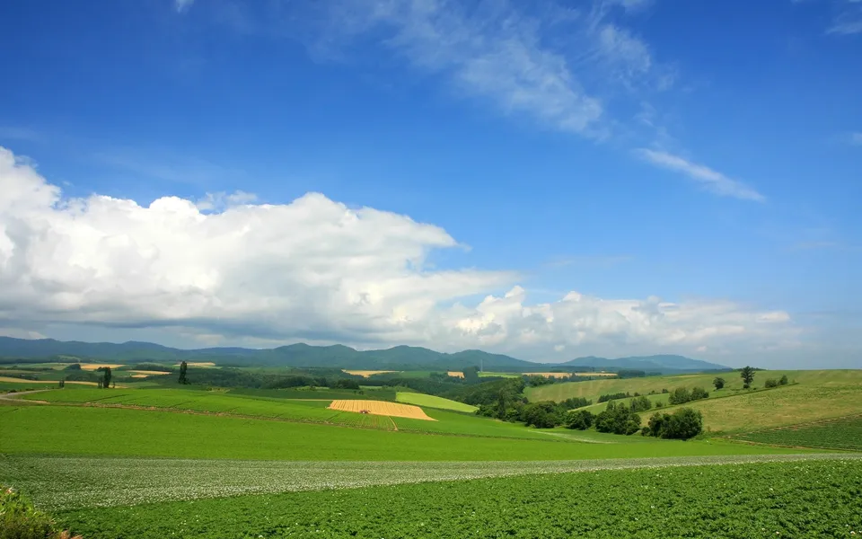 Vast rolling green fields with yellow crop patches and distant mountains under a blue sky with white clouds.