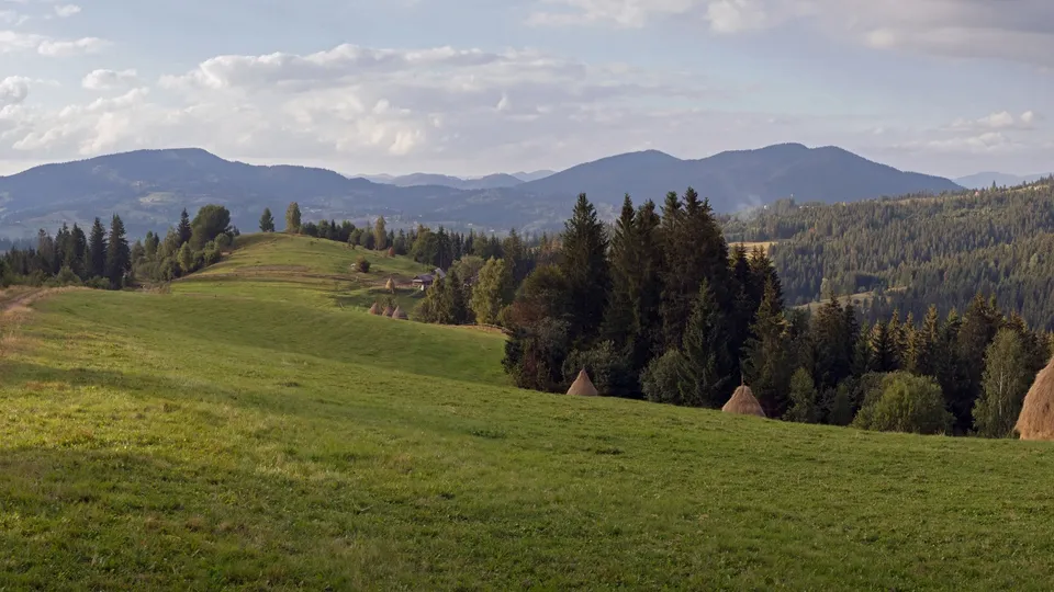 A wide view of rolling green hills with scattered trees and distant mountains under a partly cloudy sky.