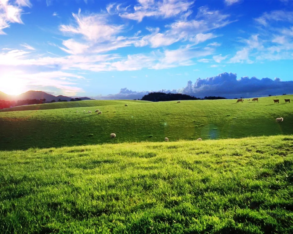 A wide shot of vibrant green rolling hills under a bright blue sky with scattered clouds, featuring grazing sheep and cattle.