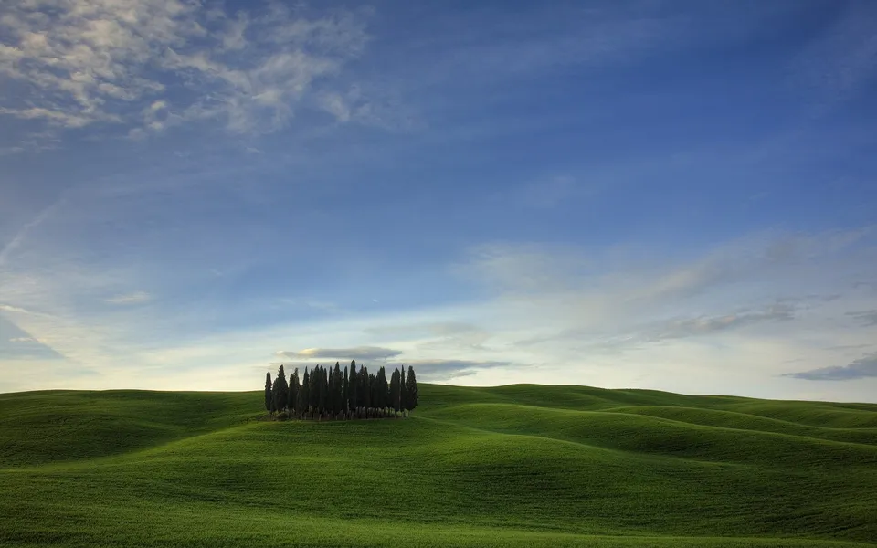 A cluster of cypress trees stands on a rolling green hill under a blue sky with wispy clouds.
