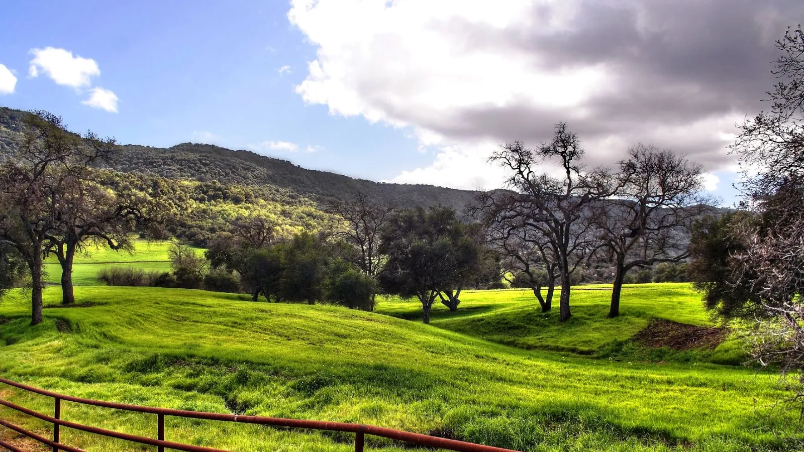 Rolling green hills with scattered trees under a dramatic cloudy sky.