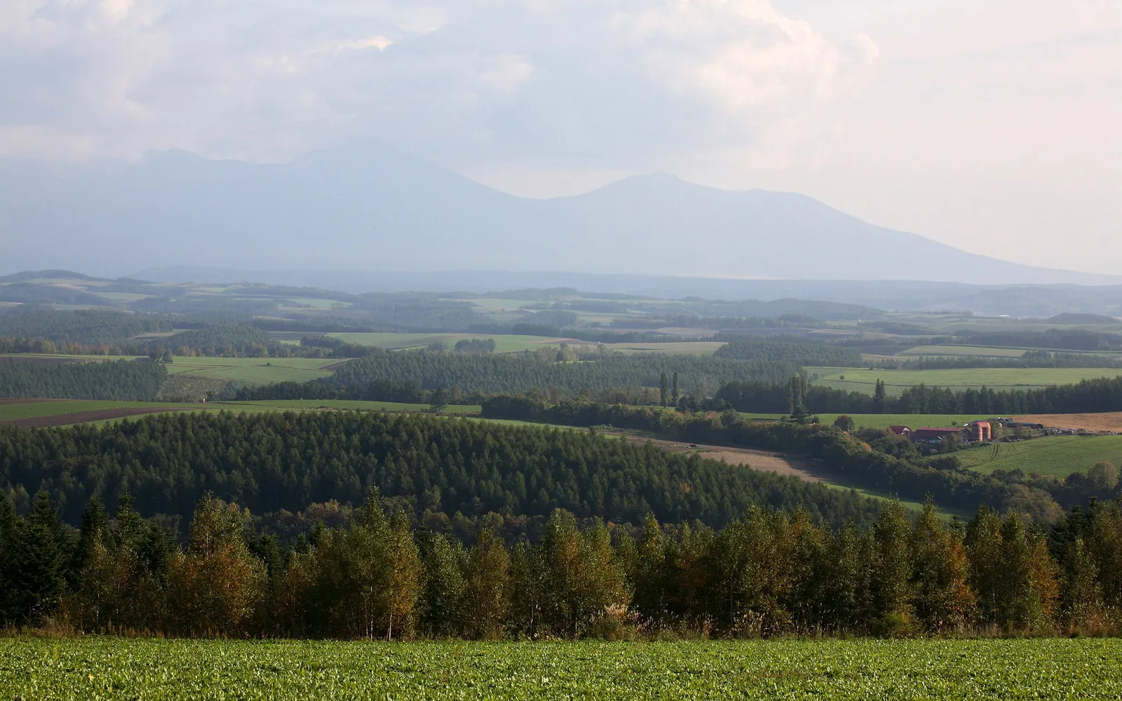 A wide view of rolling green hills and forests under a pale, cloudy sky with distant mountains.