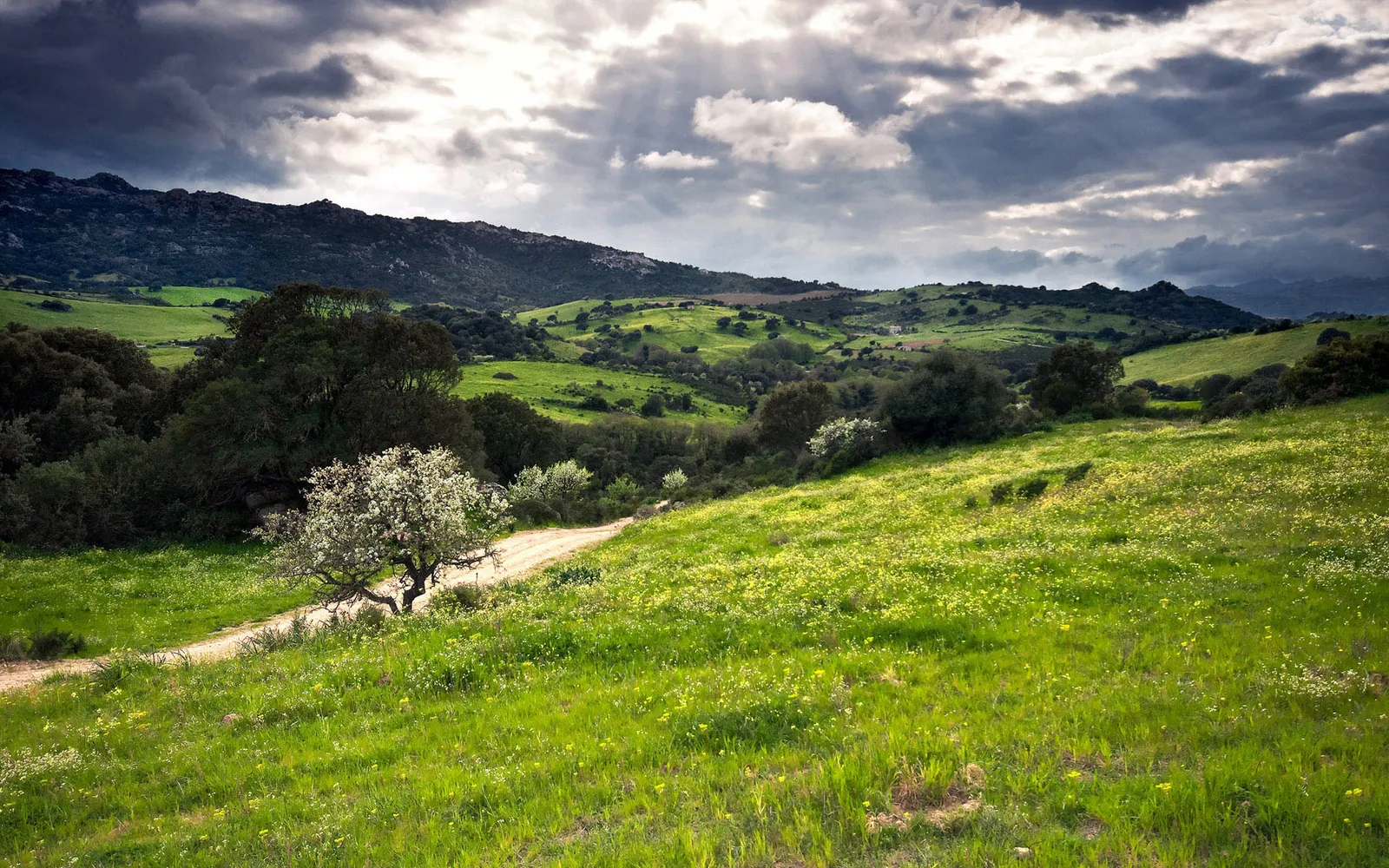 A dirt path winds through a vibrant green meadow dotted with small yellow flowers, leading towards rolling hills under a dramatic, cloudy sky.