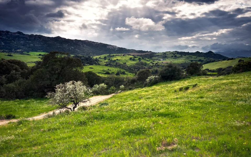 A dirt path winds through a vibrant green meadow dotted with small yellow flowers, leading towards rolling hills under a dramatic, cloudy sky.