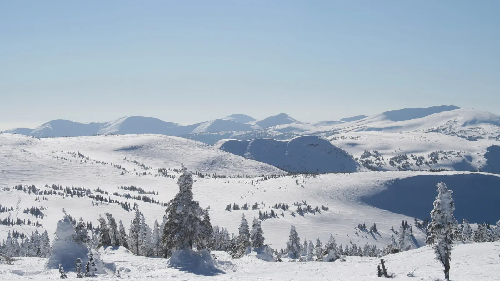 A serene winter landscape of rolling snow-covered hills and distant mountains under a clear sky.